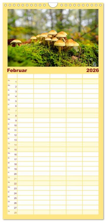 Produktbild: Familienplaner 2026 - Fantastische Pilzwelten mit 5 Spalten (Wandkalender, 21 x 45 cm) CALVENDO
