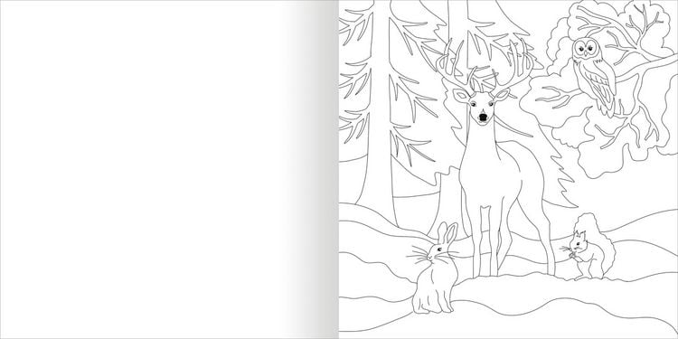 Produktbild: Aquarell-Malblock &ndash; Im Wald