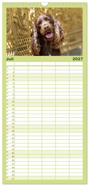 Produktbild: Familienplaner 2027 - English Cocker Spaniel - Fr&ouml;hliche Gesellen mit 5 Spalten (Wandkalender, 21 x 45 cm) CALVENDO