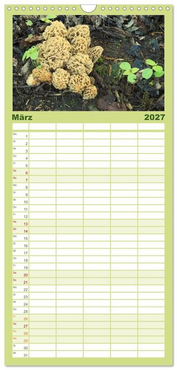 Produktbild: Familienplaner 2027 - Pilze - tolle Funde mit 5 Spalten (Wandkalender, 21 x 45 cm) CALVENDO