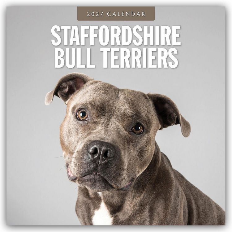 Produktbild: Staffordshire Bull Terriers &ndash; Staffordshire Bullterrier 2027 &ndash; 16-Monatskalender