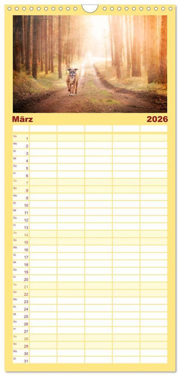 Produktbild: Familienplaner 2026 - Deutscher Boxer mit 5 Spalten (Wandkalender, 21 x 45 cm) CALVENDO