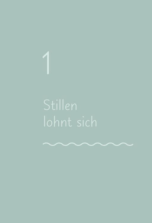 Produktbild: Das Stillbuch