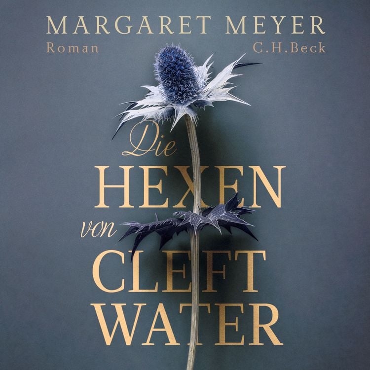 Produktbild: Die Hexen von Cleftwater