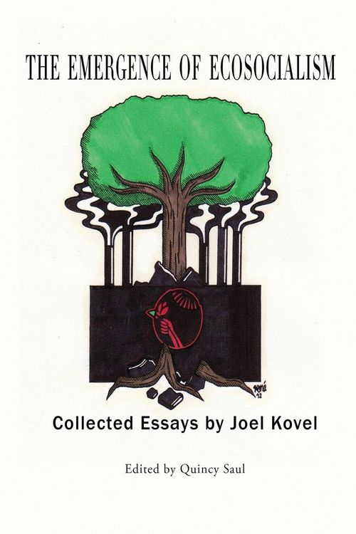 Produktbild: The Emergence of Ecosocialism