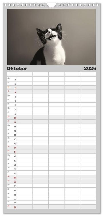 Produktbild: Familienplaner 2026 - Auch Katzen lachen gern mit 5 Spalten (Wandkalender, 21 x 45 cm) CALVENDO