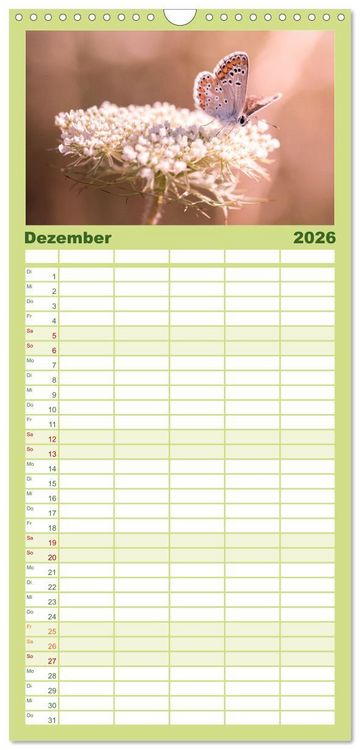 Produktbild: Familienplaner 2026 - Schmetterlinge. Schimmernde Zauberwesen mit 5 Spalten (Wandkalender, 21 x 45 cm) CALVENDO