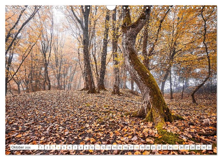 Produktbild: B&auml;ume im Altm&uuml;hltal (Wandkalender 2026 DIN A3 quer), CALVENDO Monatskalender