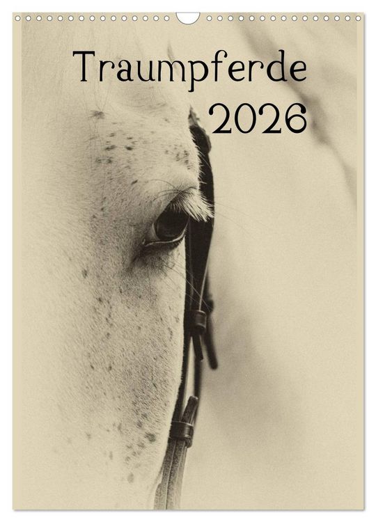 Produktbild: Traumpferde 2026 (Wandkalender 2026 DIN A3 hoch), CALVENDO Monatskalender