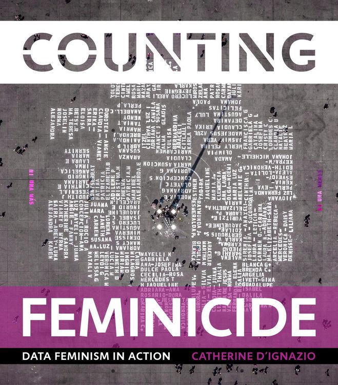 Produktbild: Counting Feminicide