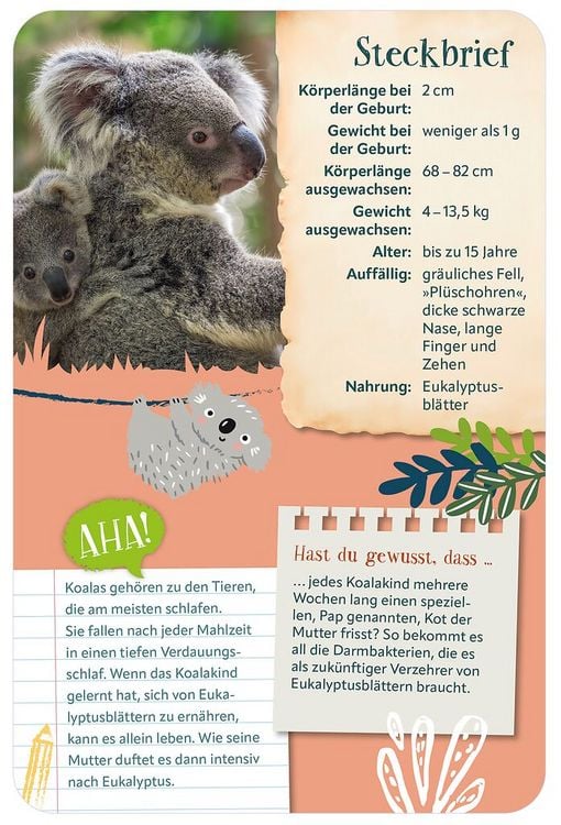 Produktbild: Die 100 s&uuml;&szlig;esten Tierbabys