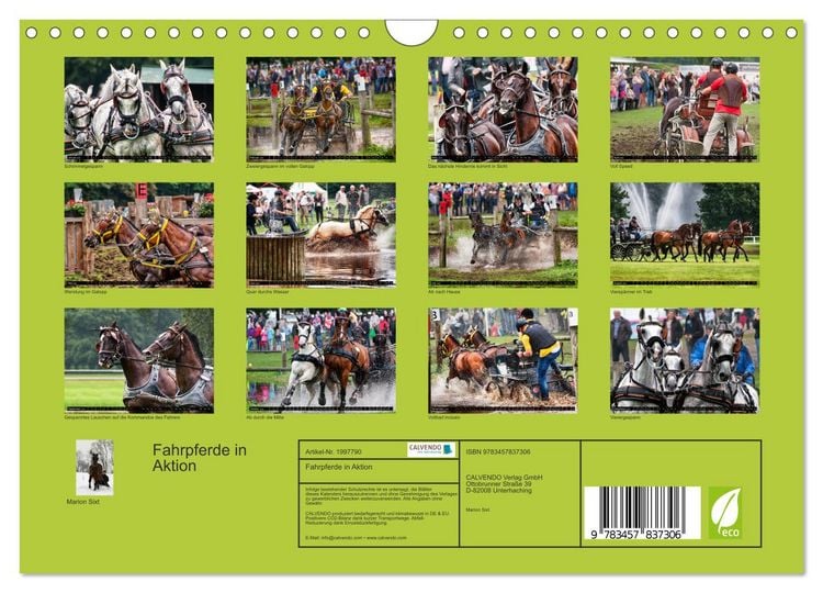 Produktbild: Fahrpferde in Aktion (Wandkalender 2026 DIN A4 quer), CALVENDO Monatskalender