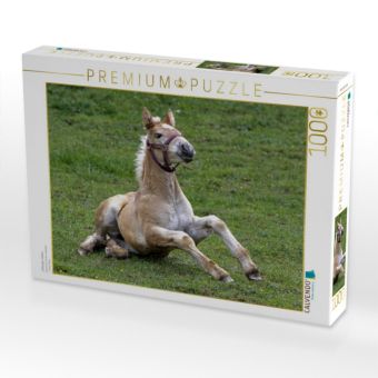 Produktbild: CALVENDO Puzzle J&uuml;tl&auml;nder-Fohlen | 1000 Teile Lege-Gr&ouml;&szlig;e 64x48cm Foto-Puzzle f&uuml;r gl&uuml;ckliche Stunden