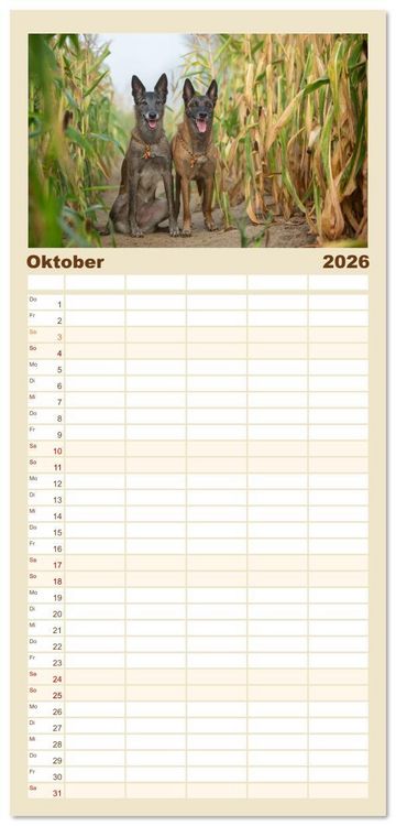 Produktbild: Familienplaner 2026 - Mit dem Malinois durch das Jahr mit 5 Spalten (Wandkalender, 21 x 45 cm) CALVENDO