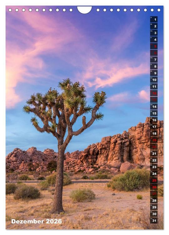 Produktbild: Impressionen aus dem JOSHUA TREE NATIONAL PARK (Wandkalender 2026 DIN A4 hoch), CALVENDO Monatskalender