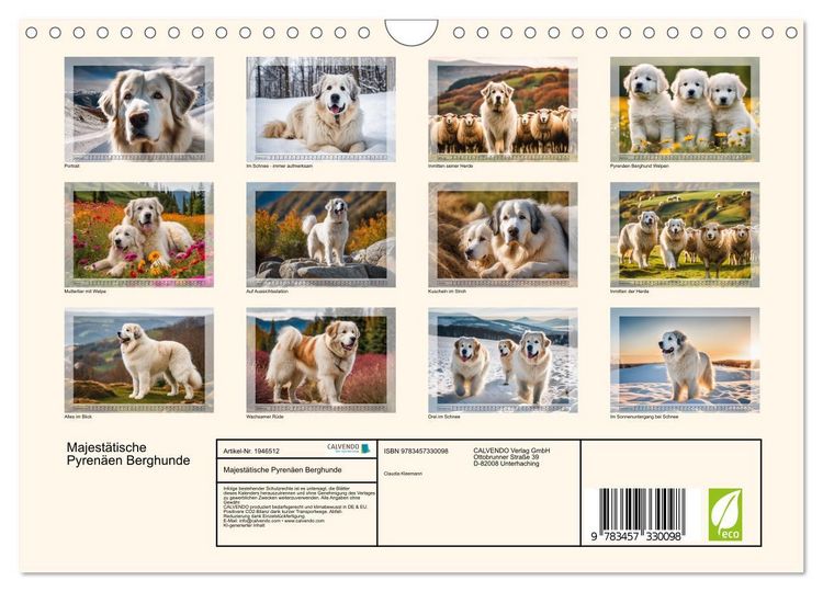 Produktbild: Majest&auml;tische Pyren&auml;en Berghunde (Wandkalender 2026 DIN A4 quer), CALVENDO Monatskalender