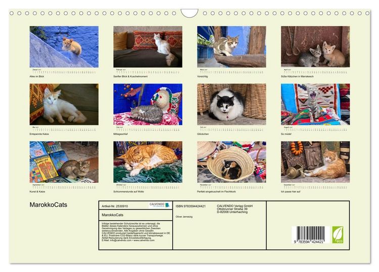 Produktbild: MarokkoCats (Wandkalender 2027 DIN A3 quer), CALVENDO Monatskalender
