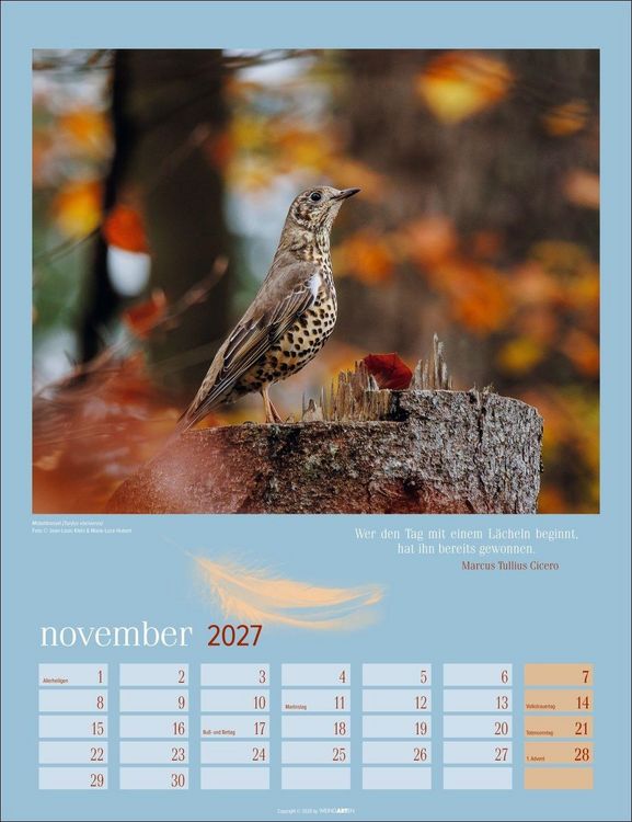 Produktbild: Heimische V&ouml;gel Kalender 2027
