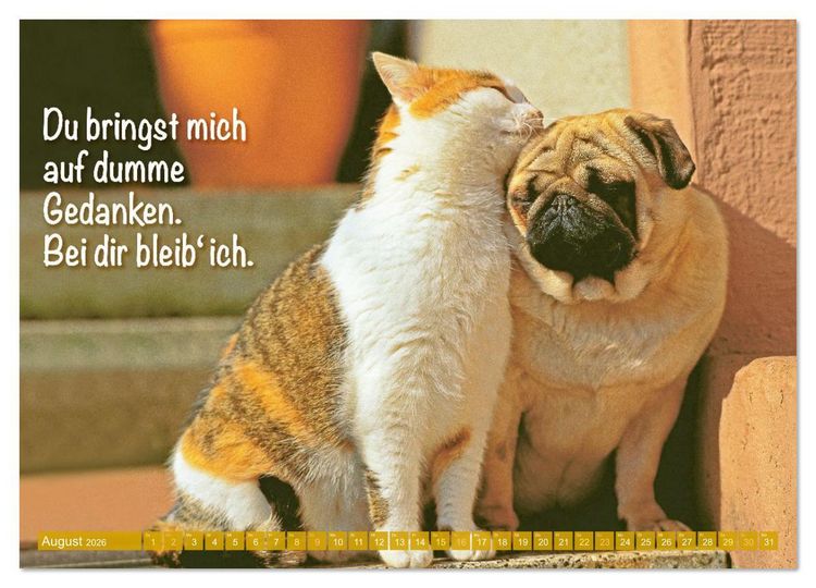 Produktbild: Der Mops: Nicht klein, sondern aufs Wesentliche reduziert. (Wandkalender 2026 DIN A3 quer), CALVENDO Monatskalender