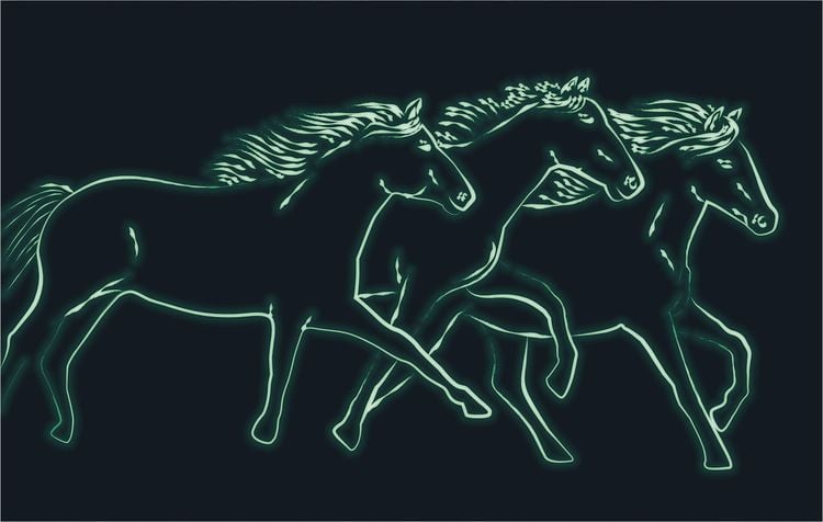 Produktbild: Trousselier - Schmuckschatulle mit Musik, Pferd Camargue, nachtleuchtend