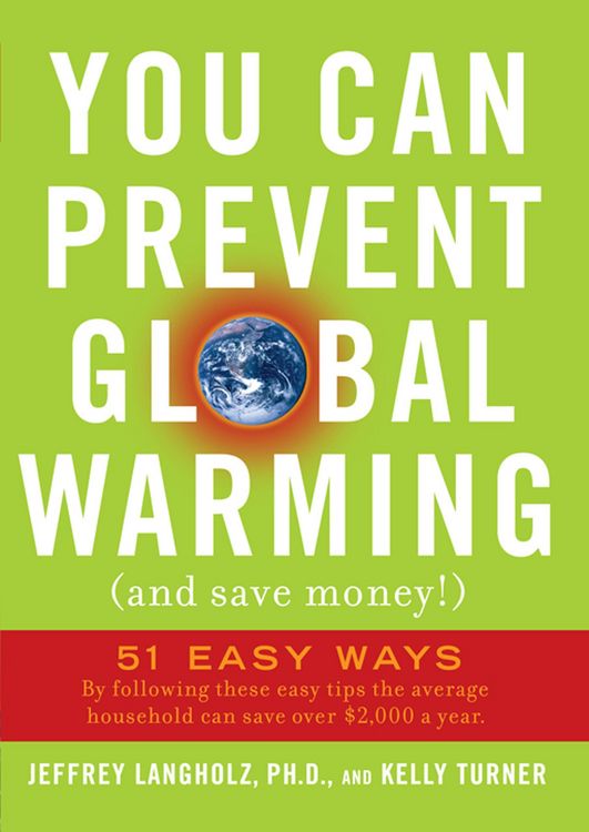 Produktbild: You Can Prevent Global Warming (and Save Money!)