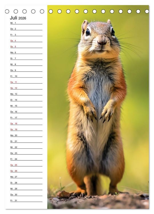 Produktbild: Ganz von vorn (Tischkalender 2026 DIN A5 hoch), CALVENDO Monatskalender