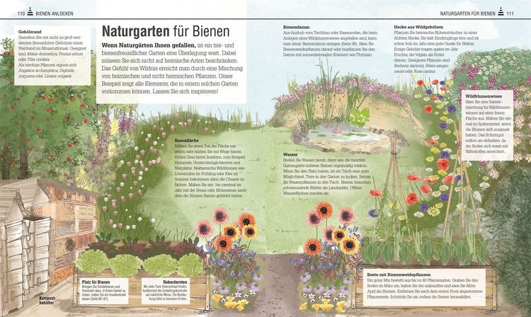 Produktbild: Das Bienen Buch