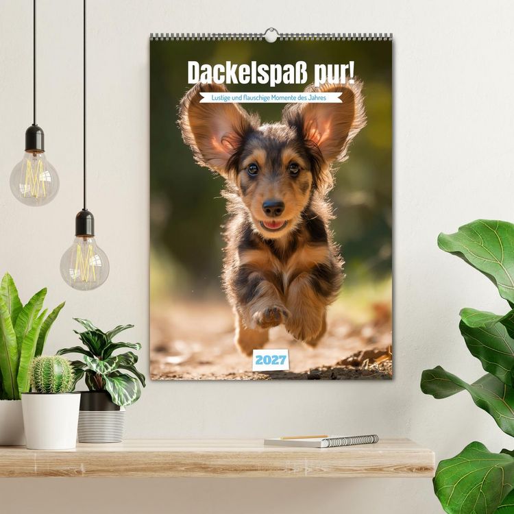 Produktbild: Dackelspa&szlig; pur! (Wandkalender 2027 DIN A2 hoch), CALVENDO Monatskalender