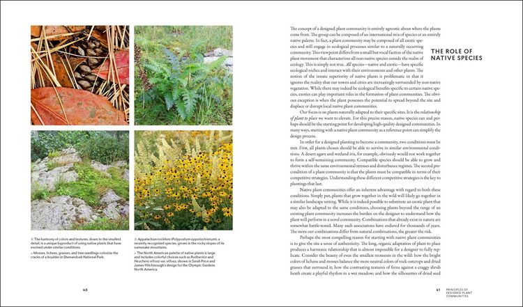 Produktbild: Planting in a Post-Wild World