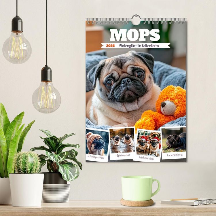 Produktbild: MOPS Pfotengl&uuml;ck in Faltenform (Wandkalender 2026 DIN A4 hoch), CALVENDO Monatskalender