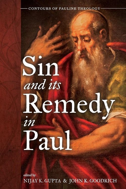 Produktbild: Sin and Its Remedy in Paul