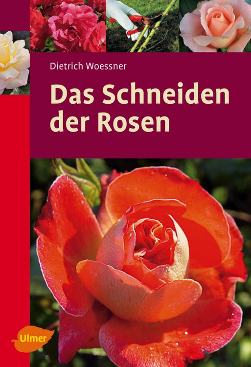 Produktbild: Das Schneiden der Rosen