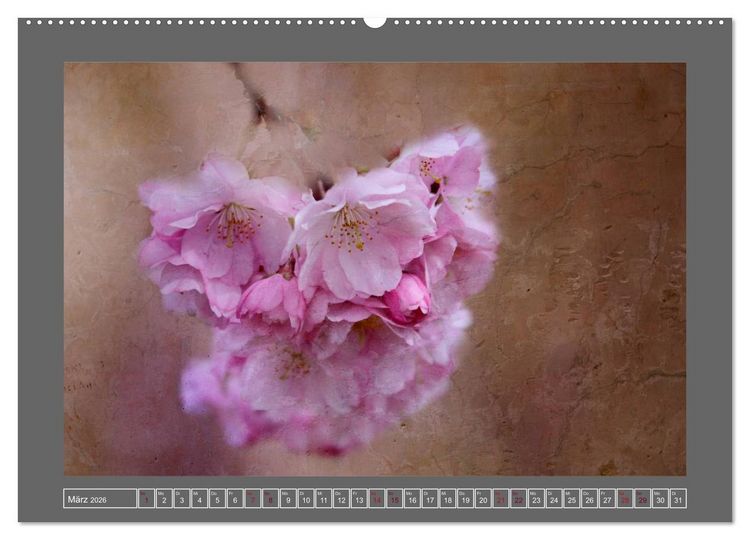 Produktbild: Blumen f&uuml;r dich (Wandkalender 2026 DIN A2 quer), CALVENDO Monatskalender