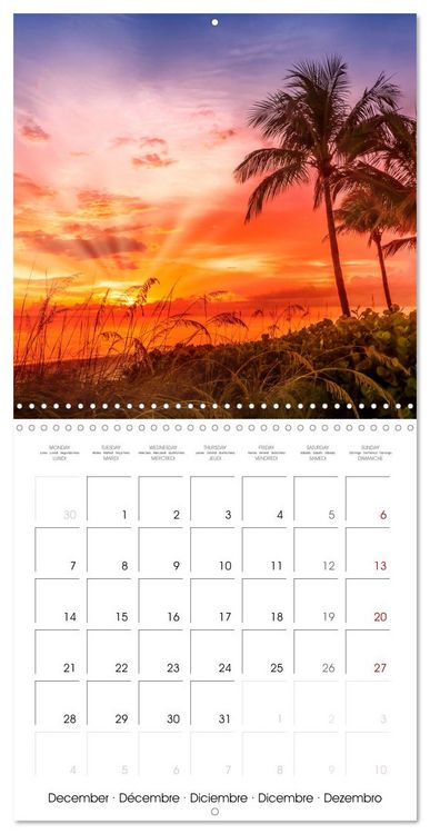 Produktbild: SEA BREEZE Relaxing coastal moments (Wall Calendar 2026 12 &times; 12 Inch) CALVENDO 12 Month Wall Calendar