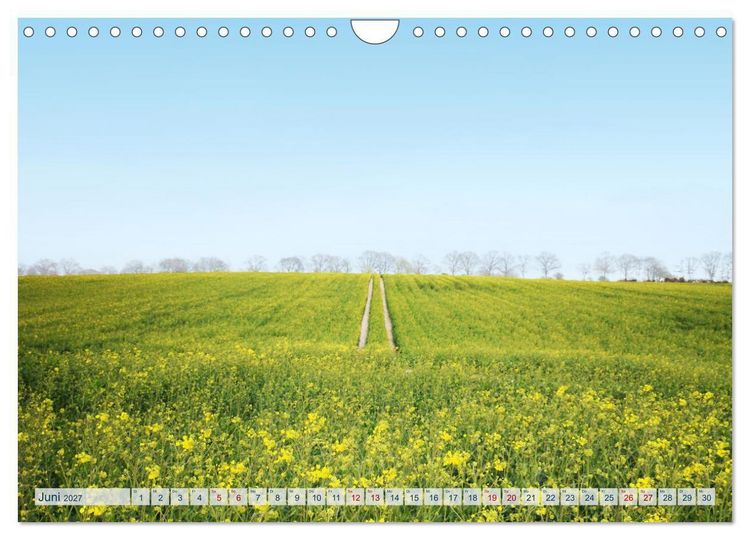 Produktbild: Magisches Ostholstein (Wandkalender 2027 DIN A4 quer), CALVENDO Monatskalender