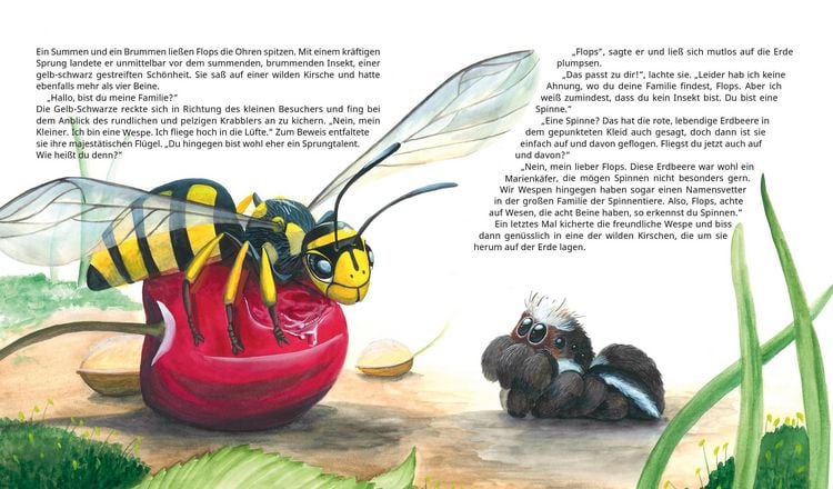 Produktbild: FLOPS, die kleine Spinne
