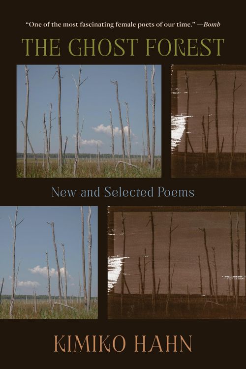 Produktbild: The Ghost Forest