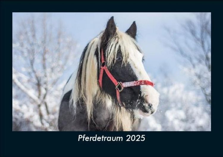 Produktbild: Pferdetraum 2025 Fotokalender DIN A5
