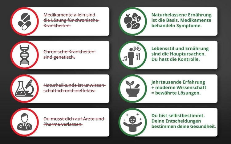 Produktbild: Die Krankheitslügen - Was man macht, um nicht krank zu werden.