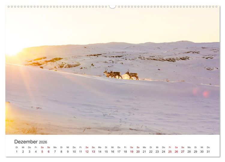Produktbild: Zwischen den Eisbergen in Gr&ouml;nland (Wandkalender 2026 DIN A2 quer), CALVENDO Monatskalender