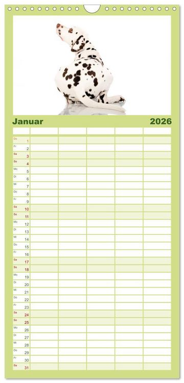 Produktbild: Familienplaner 2026 - Dalmatiner mit 5 Spalten (Wandkalender, 21 x 45 cm) CALVENDO