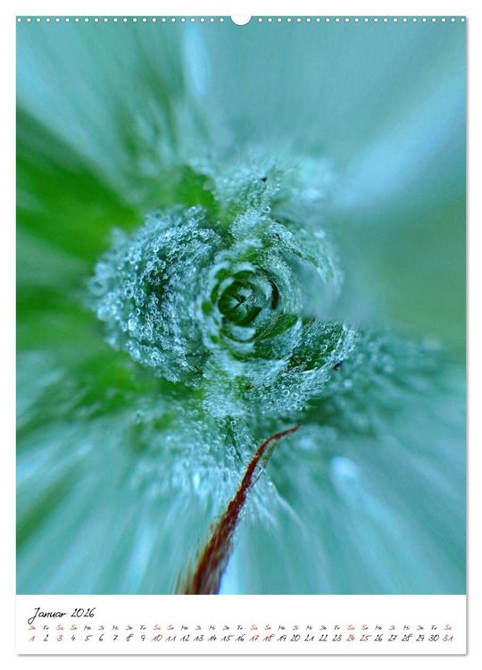 Produktbild: Durchschnittlich - Verzauberte Flora (Wandkalender 2026 DIN A2 hoch), CALVENDO Monatskalender