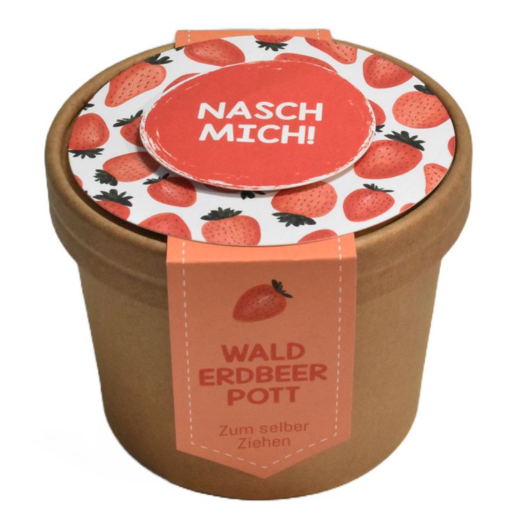 Produktbild: Wundert&uuml;te Walderdbeer Pott als Pflanzset
