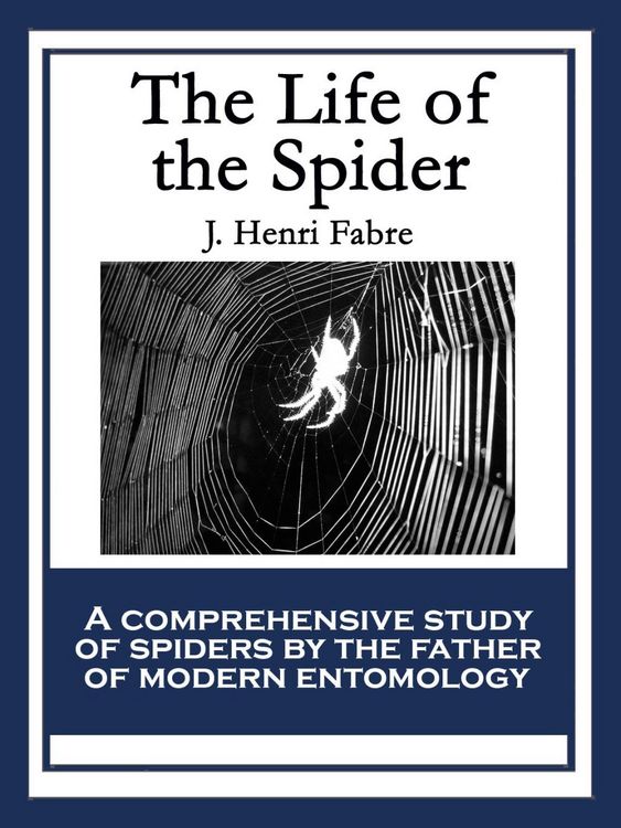 Produktbild: The Life of the Spider