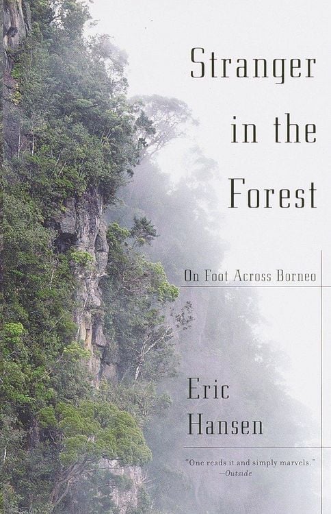Produktbild: Stranger in the Forest