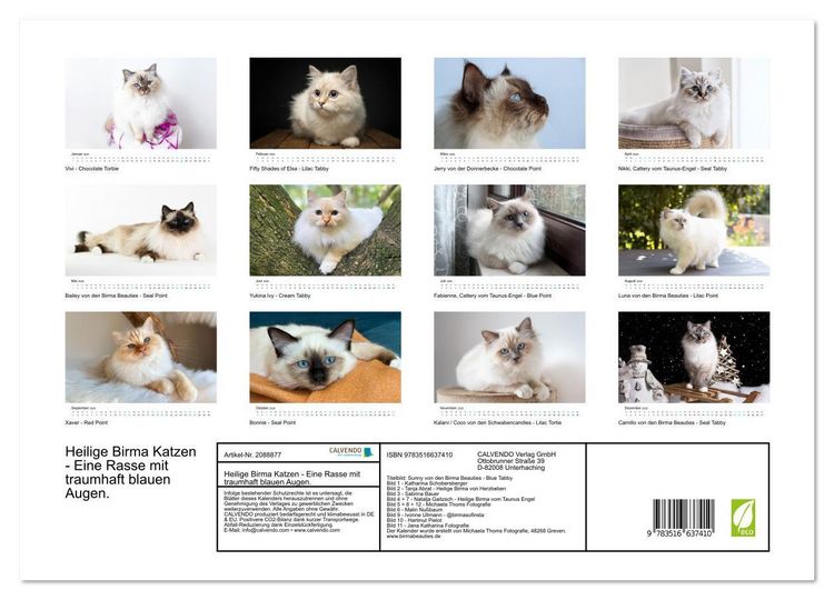 Produktbild: Heilige Birma Katzen - Eine Rasse mit traumhaft blauen Augen. (hochwertiger Premium Wandkalender 2026 DIN A2 quer), Kunstdruck in Hochglanz