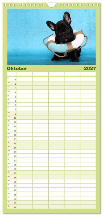 Produktbild: Familienplaner 2027 - Der Bully - Kalender Familienplaner hoch mit 5 Spalten (Wandkalender, 21 x 45 cm) CALVENDO