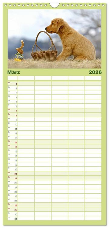 Produktbild: Familienplaner 2026 - Chesley Kleiner Hund grosse Abenteuer mit 5 Spalten (Wandkalender, 21 x 45 cm) CALVENDO