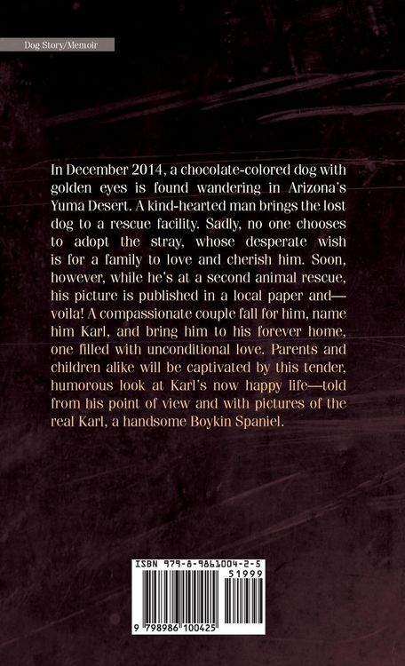 Produktbild: Karl's Diary