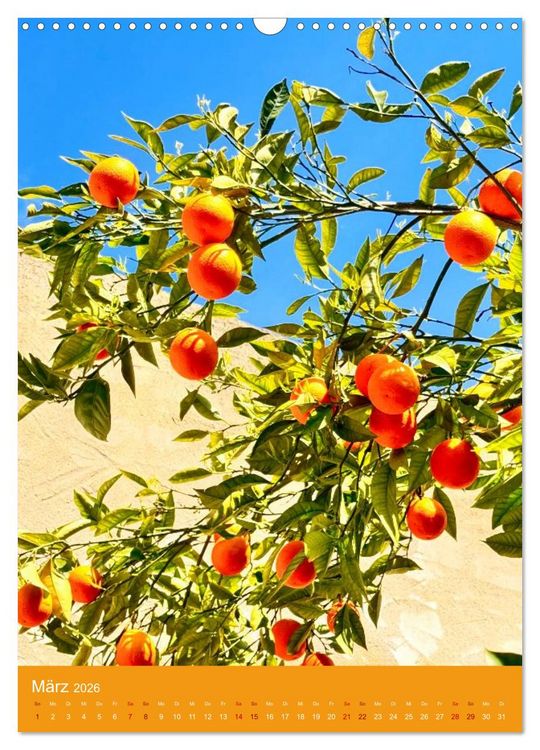 Produktbild: Magisches Cagliari und Campidano (Wandkalender 2026 DIN A3 hoch), CALVENDO Monatskalender